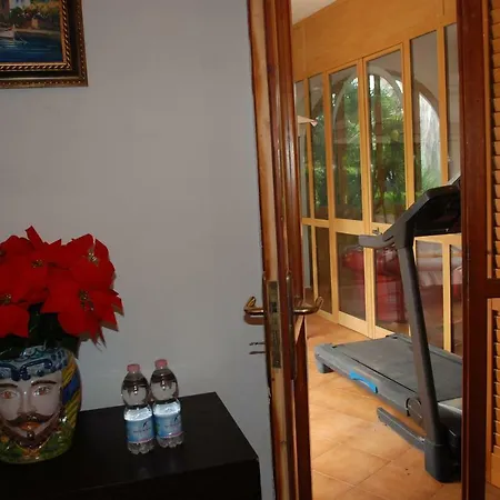 Sofia Apartament *