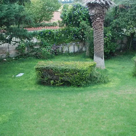 Sofia Apartament